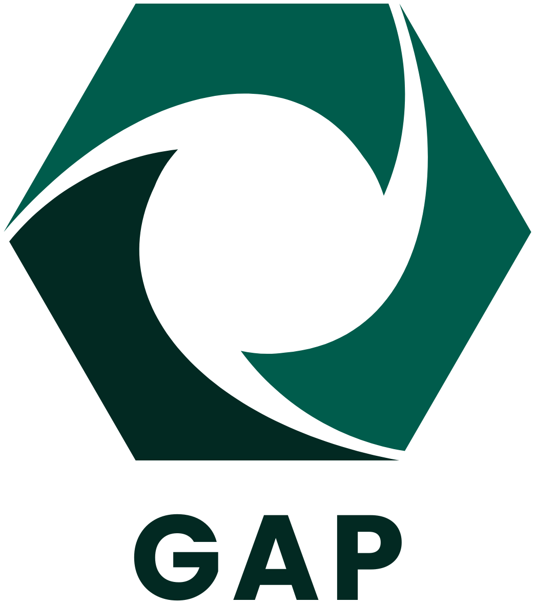 GAP Gestión y Asesoría Profesional